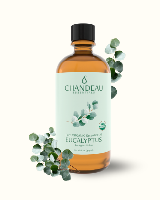 Organic Eucalyptus Essential Oil 16oz | Bulk 100% Pure USDA Certified