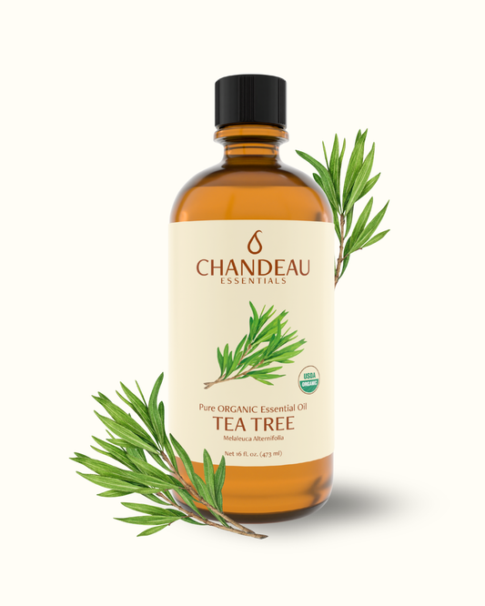 Organic Tea Tree Essential Oil 16oz
