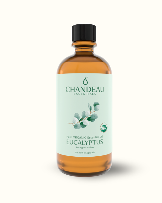 Organic Eucalyptus Essential Oil 16oz | Bulk 100% Pure USDA Certified