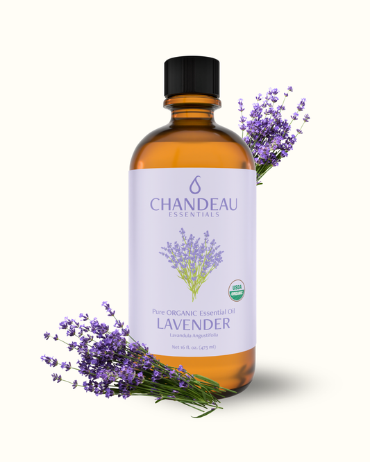 16oz Organic Lavender Essential Oil | 100% Pure & USDA Certified