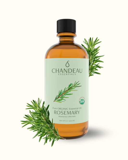 Organic Rosemary Essential Oil 16oz