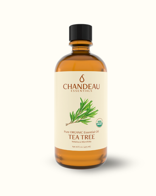 Organic Tea Tree Essential Oil 16oz