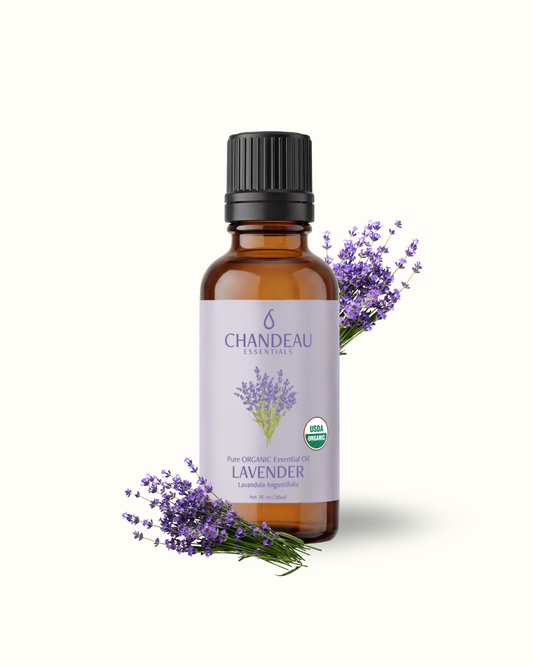 Lavender — Single-Note Essential Oil